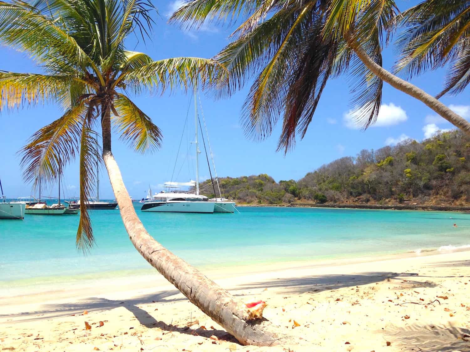 Catamaran Charter Programs