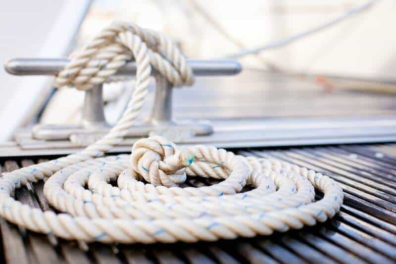 albert the ape thought the mooring warps were snakes 