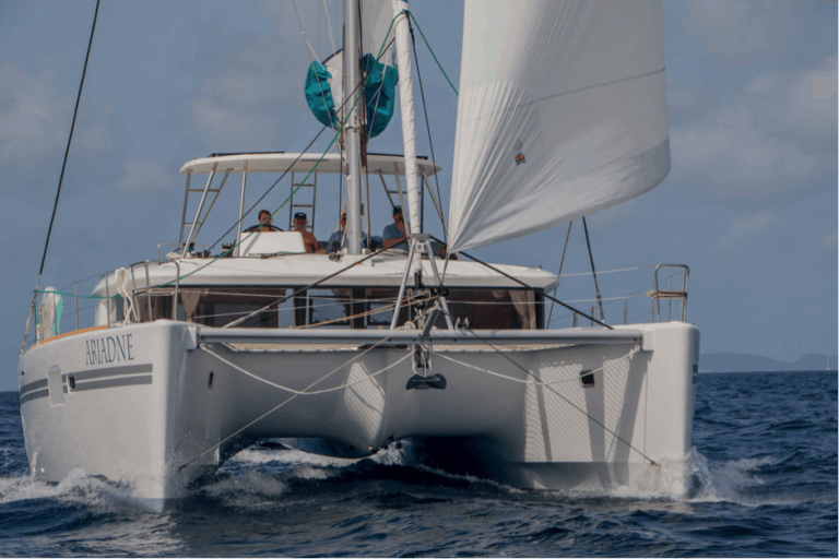 Rigid Hardtop Catamaran Bimini | #1 Catamaran Resource