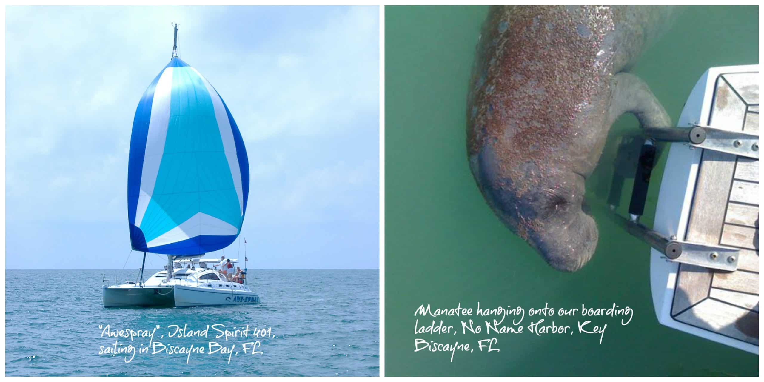 biscayne bay