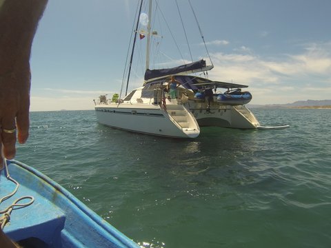 1995 privilege 42 catamaran for sale by owner