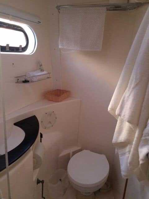 2008 leopard 46 head toilet