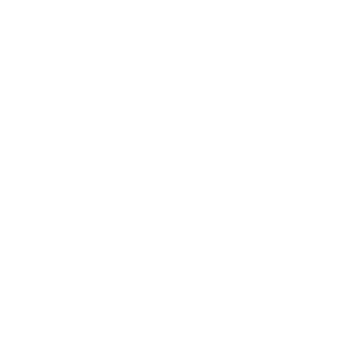 CANNES YACHTING FESTIVAL