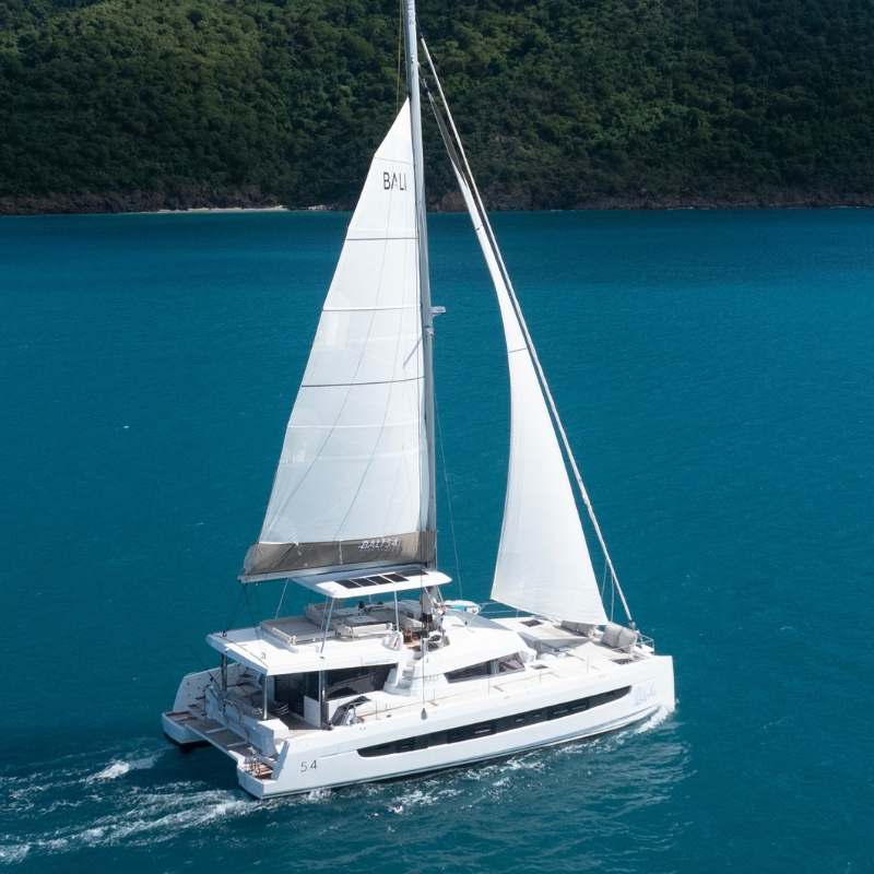 charter management experience