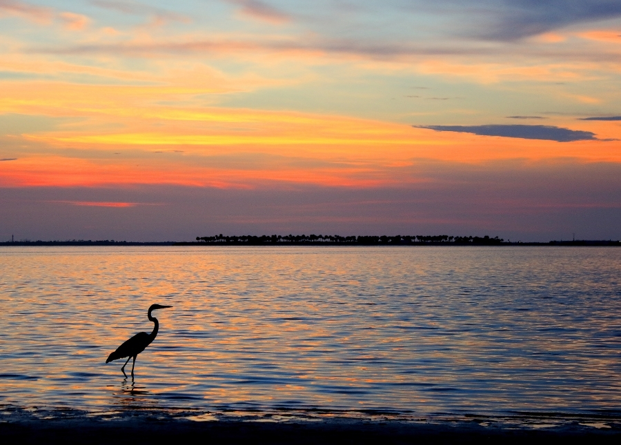 tarpon springs yacht sales